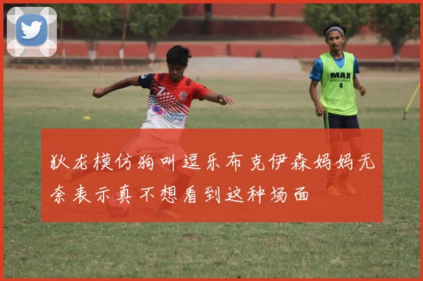 狄龙模仿狗叫逗乐布克伊森妈妈无奈表示真不想看到这种场面